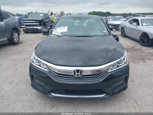 Honda Accord Ex-l