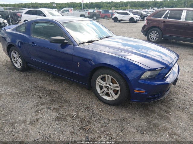 Salvage Ford Mustang Image