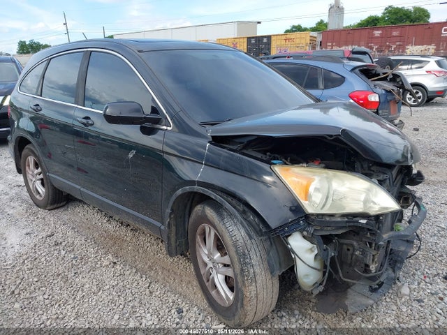 Salvage Honda CR-V Image