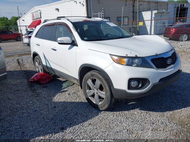 Salvage Kia Sorento Image