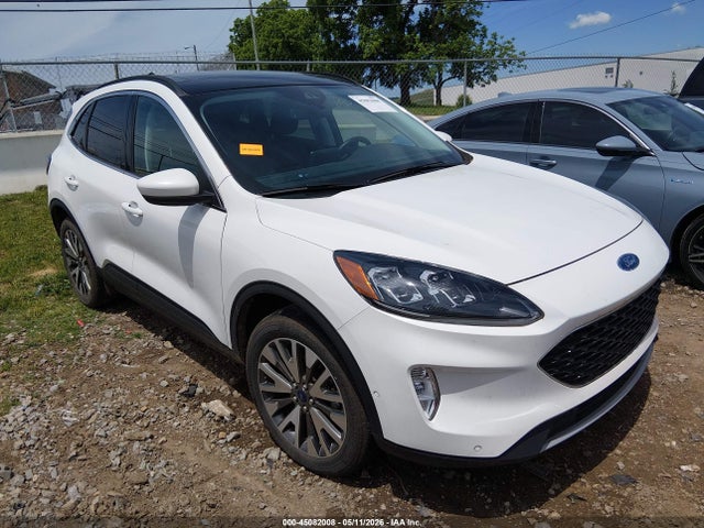 Salvage Ford Escape Image