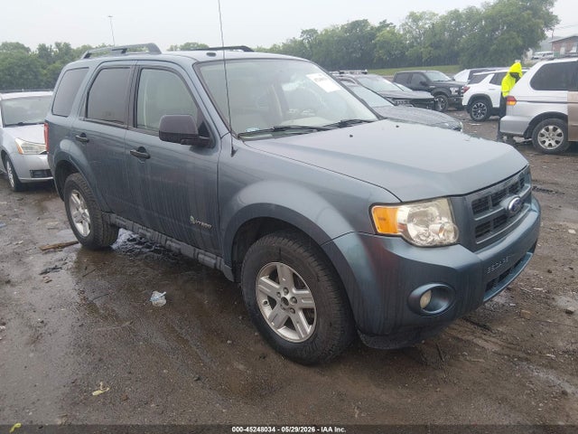 Salvage Ford Escape Image