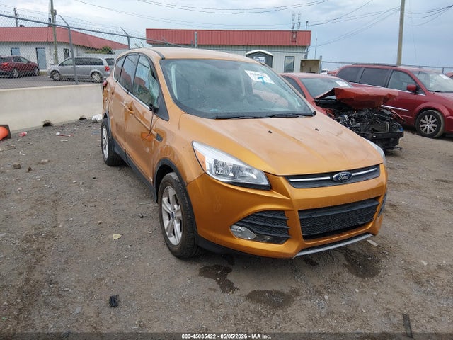 Salvage Ford Escape Image