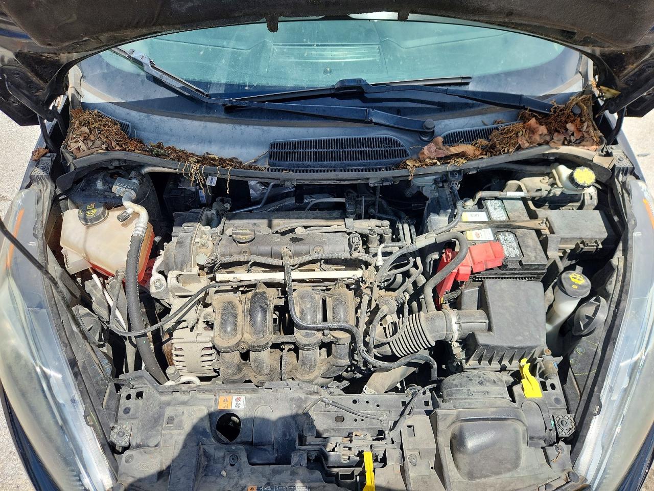 Ford Fiesta Se