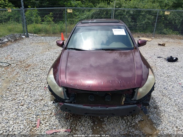 Honda Accord 3.5 Ex-l