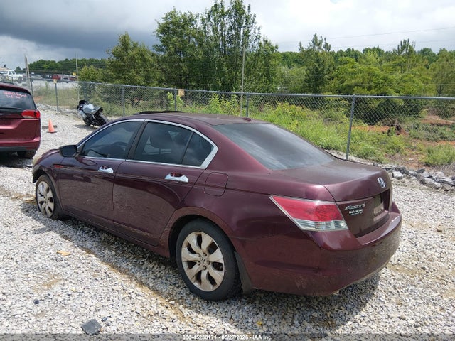 Honda Accord 3.5 Ex-l