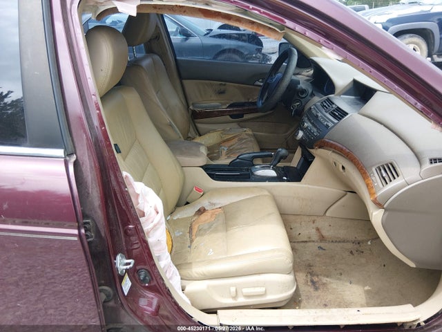 Honda Accord 3.5 Ex-l