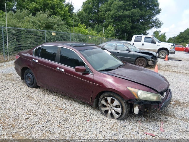 Salvage Honda Accord Image