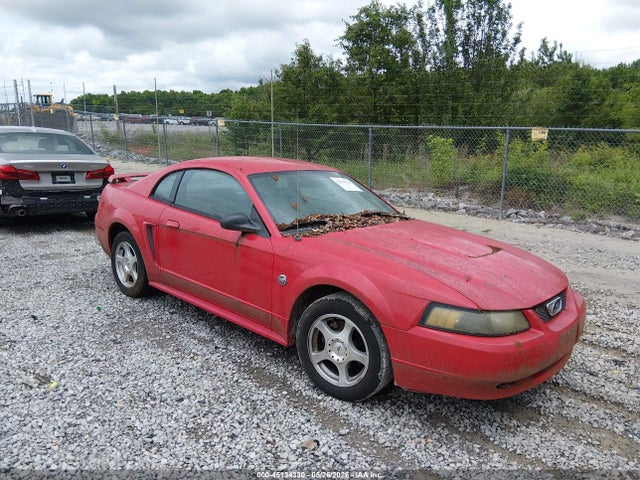 Salvage Ford Mustang Image