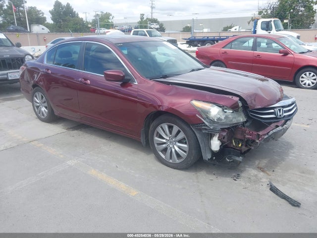 Salvage Honda Accord Image