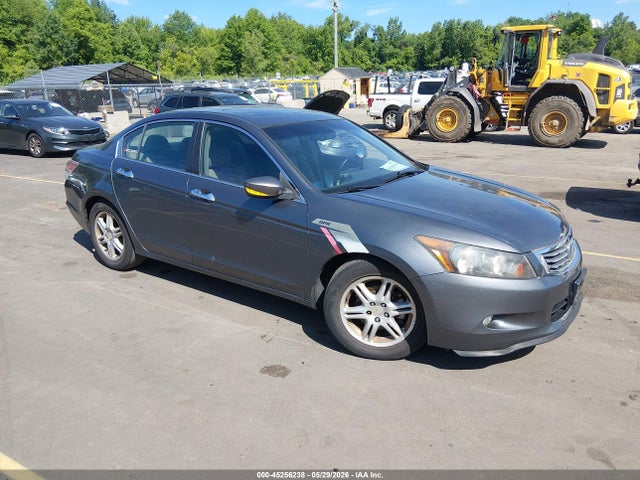 Salvage Honda Accord Image