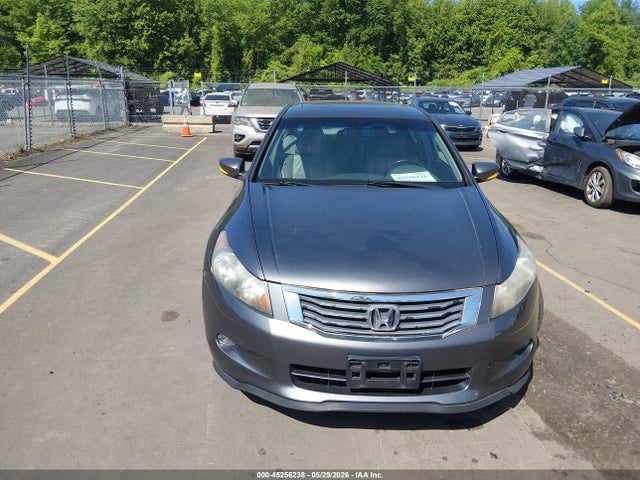 Honda Accord 3.5 Ex-l