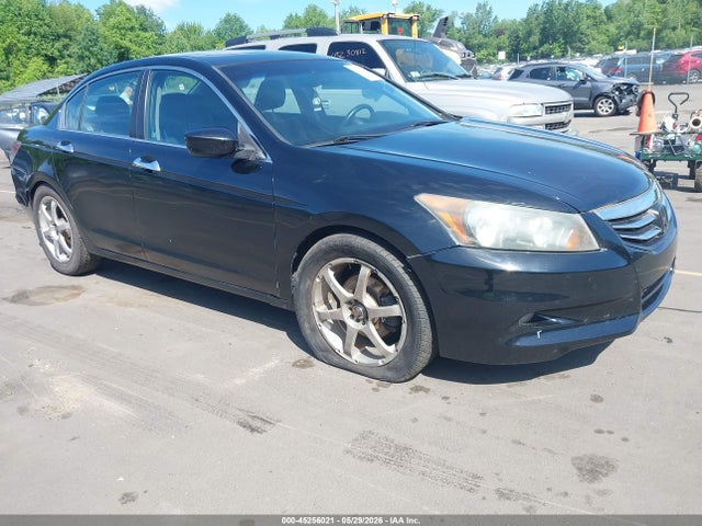 Salvage Honda Accord Image