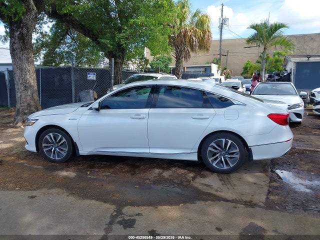 Honda Accord Ex-l