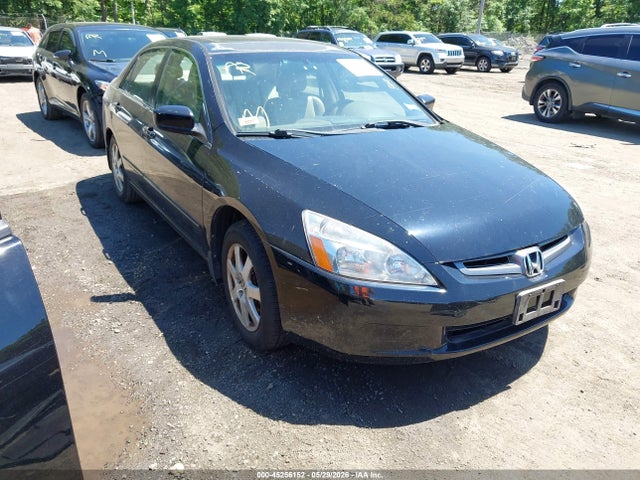 Salvage Honda Accord Image