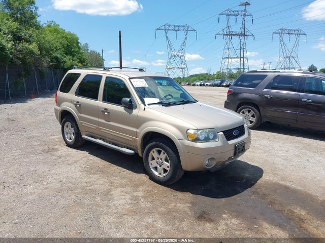 Salvage Ford Escape Image