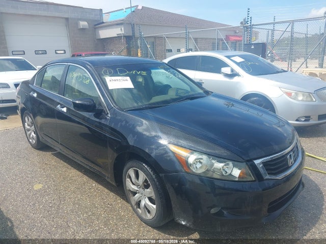 Salvage Honda Accord Image