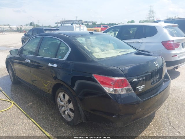 Honda Accord 3.5 Ex-l