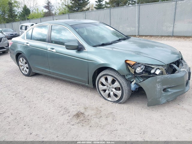 Salvage Honda Accord Image
