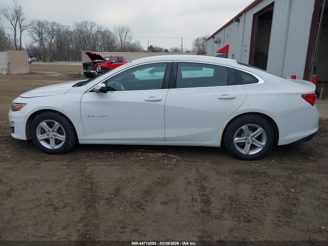 Chevrolet Malibu 1fl