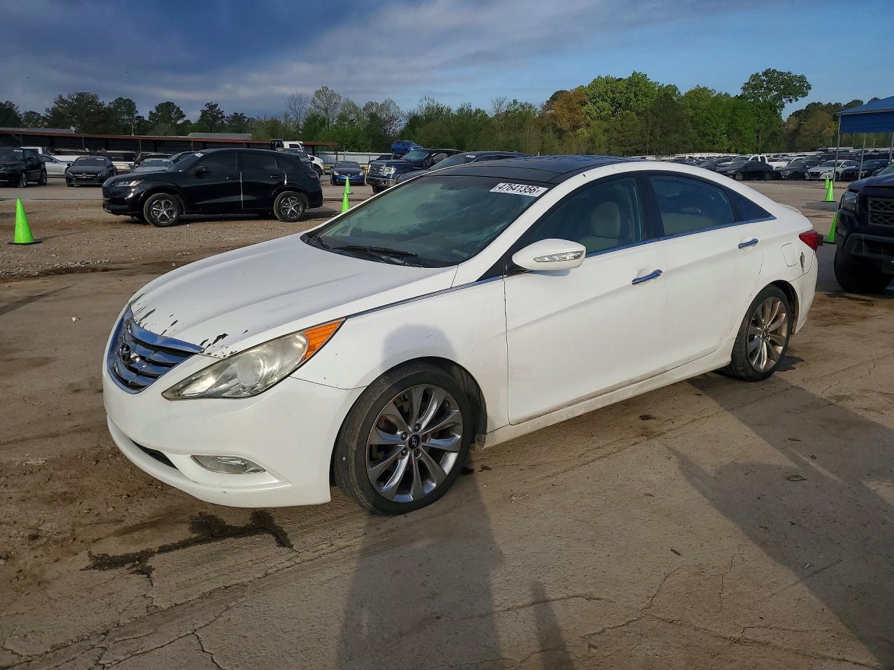 Salvage Hyundai SONATA Image