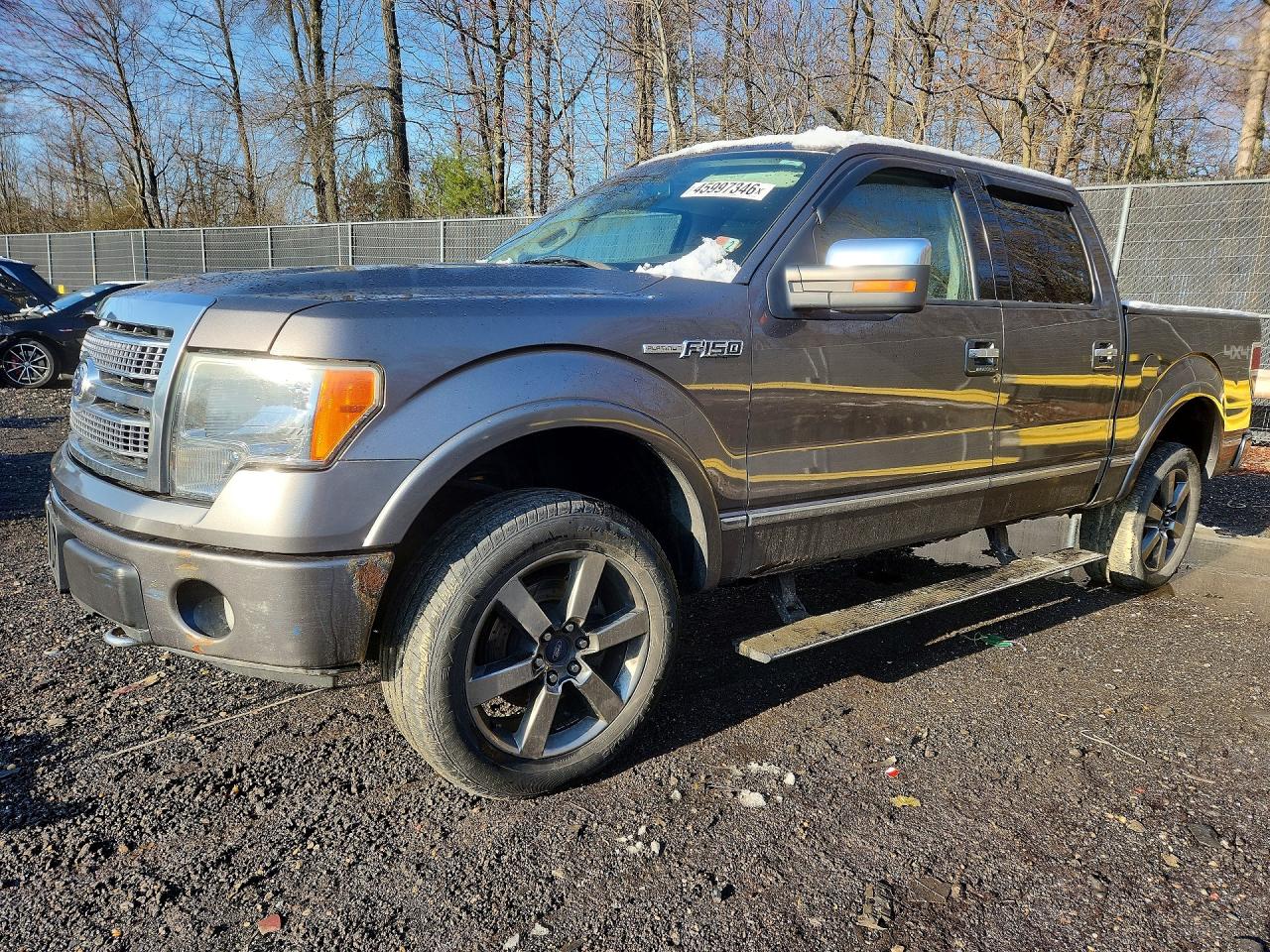 Salvage Ford F-150 Image