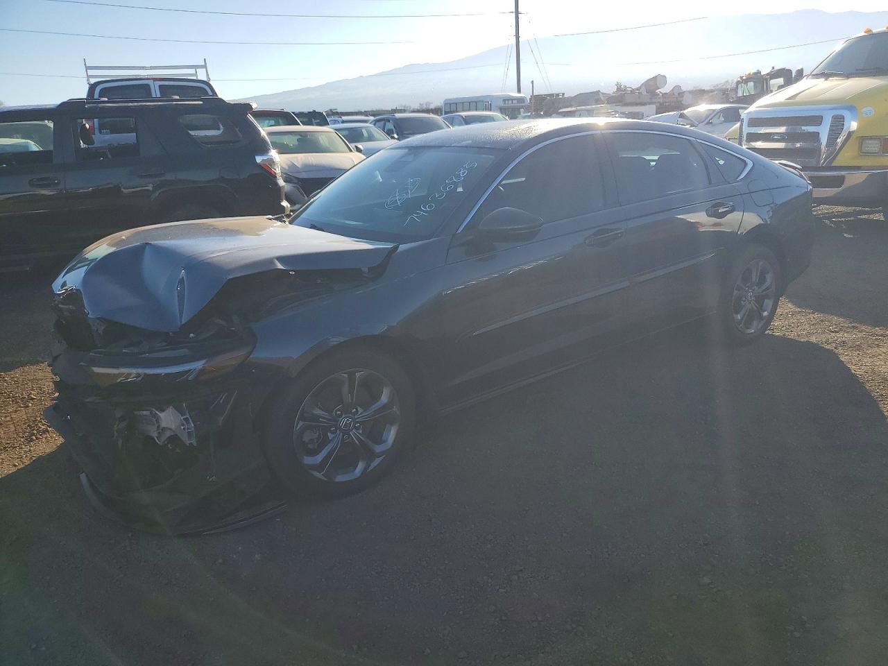 Salvage Honda Accord Image
