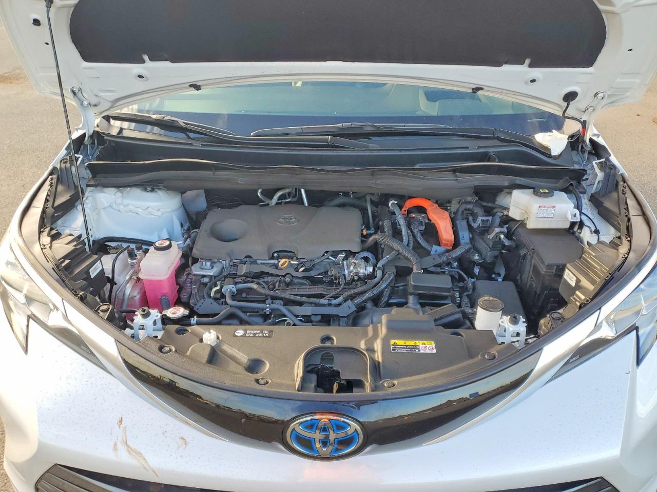 Toyota Sienna Limited