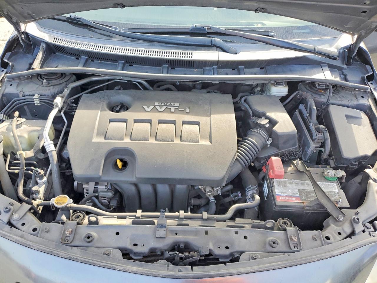 Toyota Corolla Le Plus/le Premium