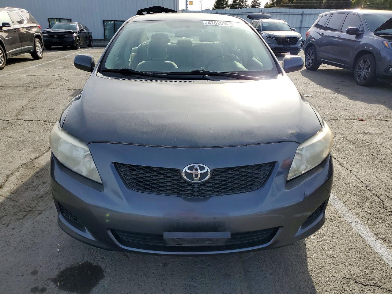 Toyota Corolla Le Plus/le Premium