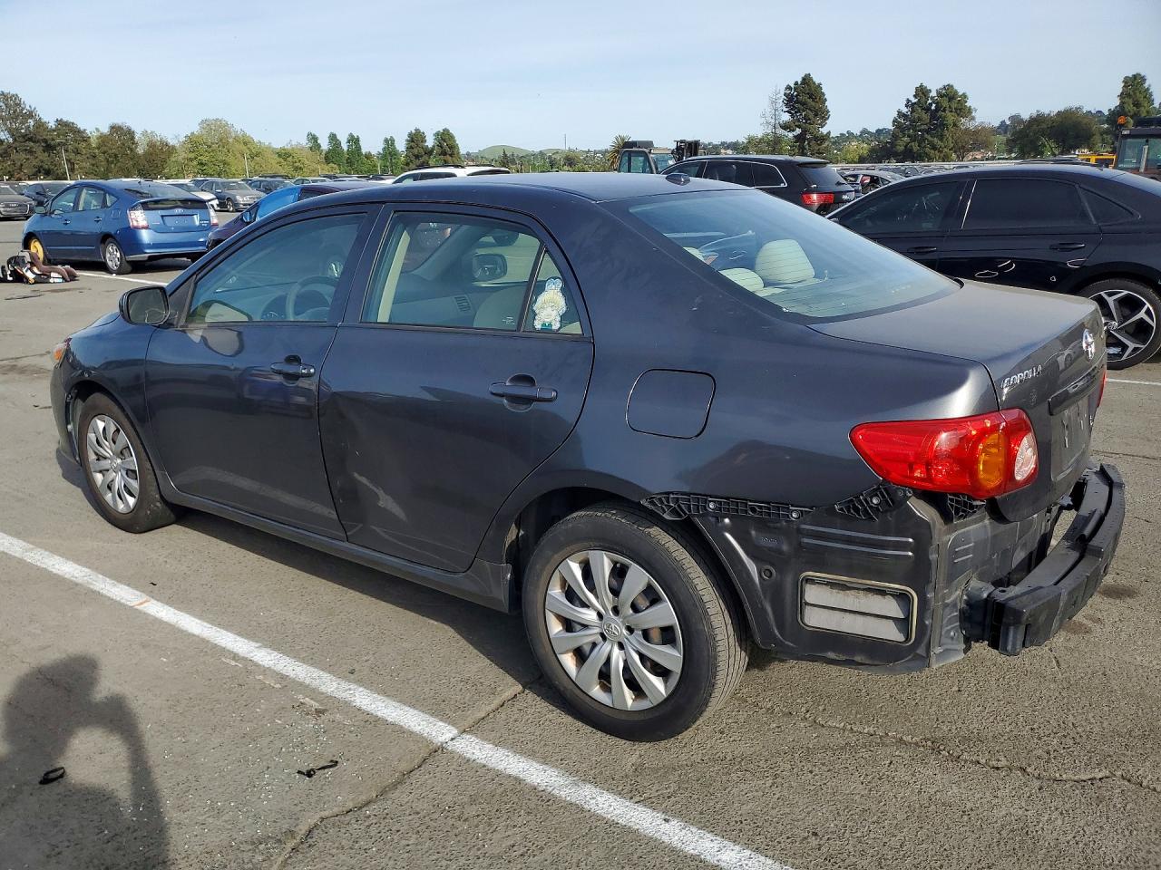 Toyota Corolla Le Plus/le Premium