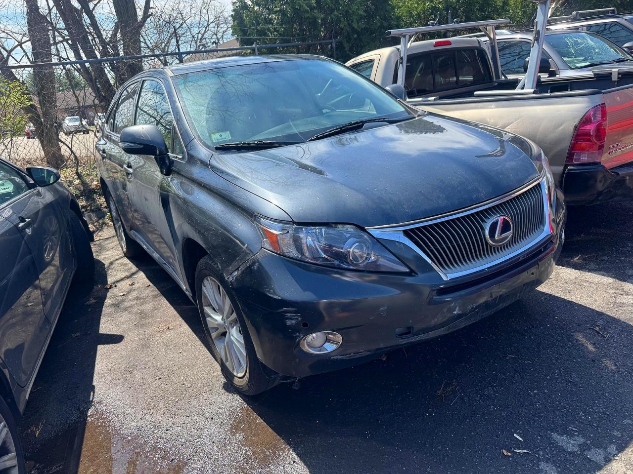Salvage Lexus RX Image