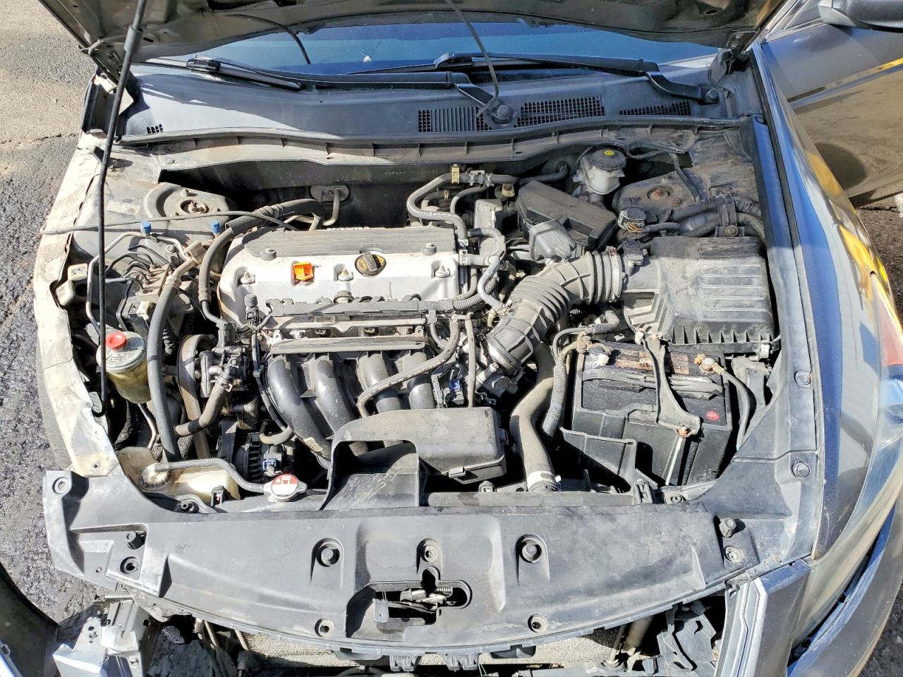 Honda Accord Se