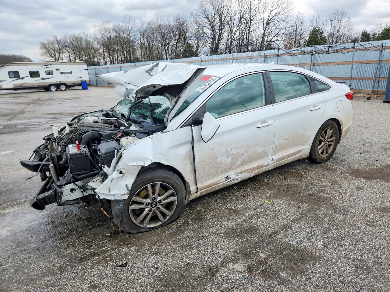 Salvage Hyundai SONATA Image