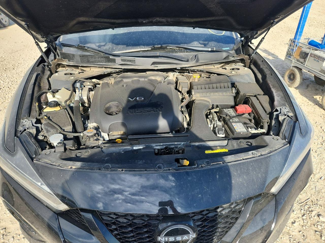 Nissan Maxima Sr