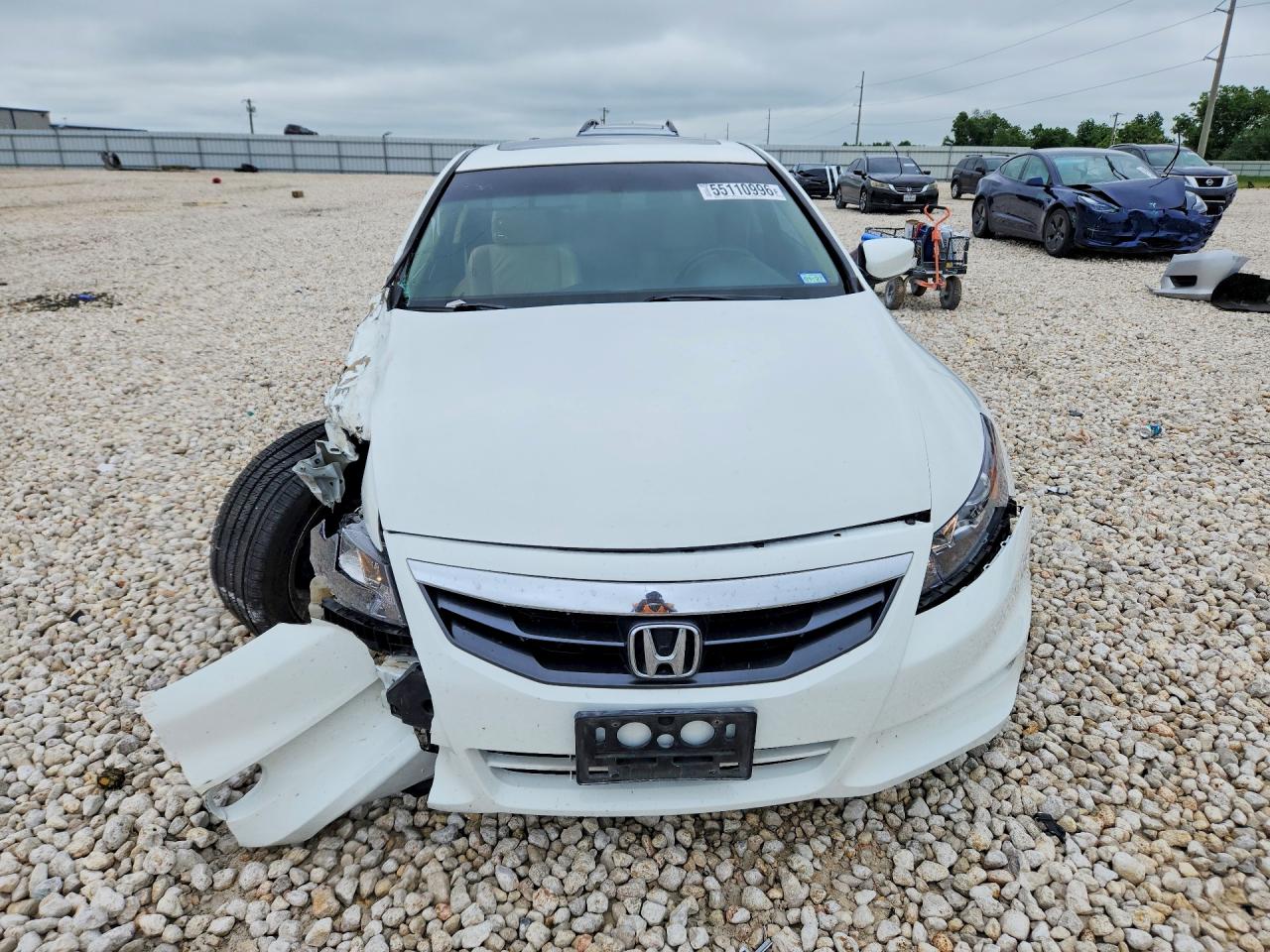 Honda Accord Exl