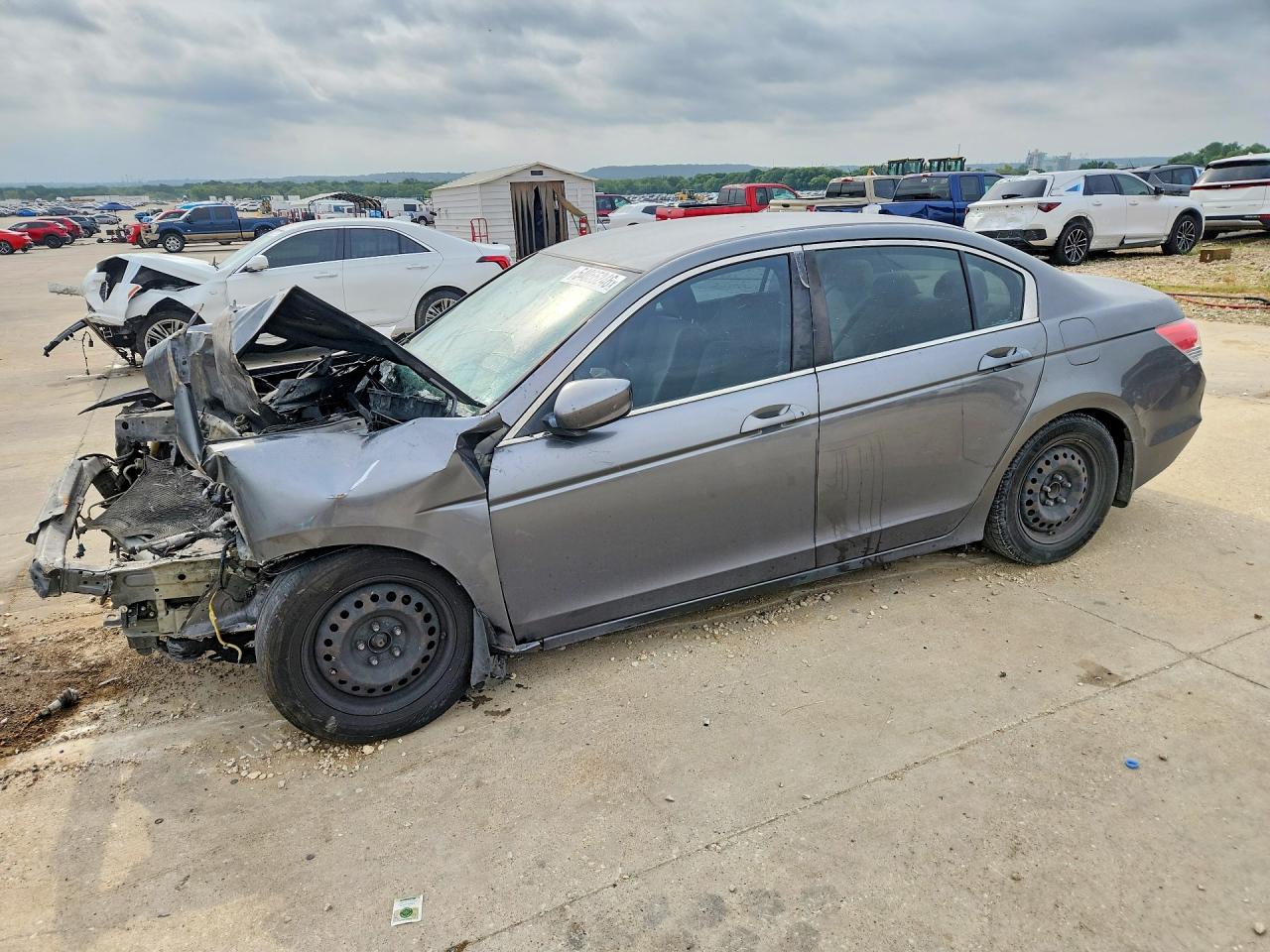 Salvage Honda Accord Image