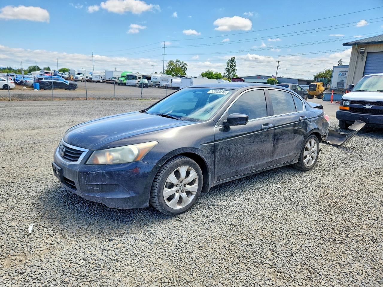 Salvage Honda Accord Image