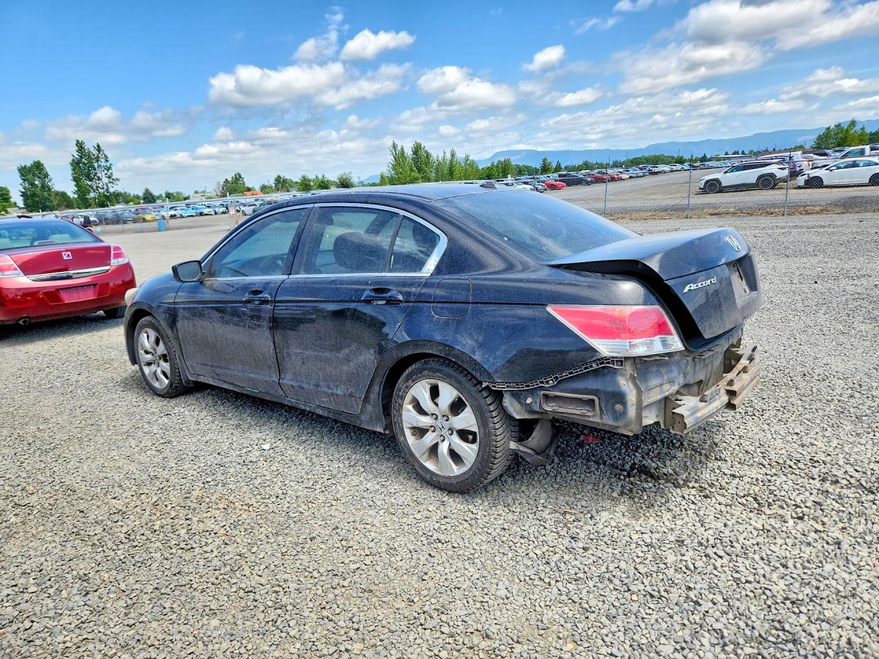 Honda Accord Exl