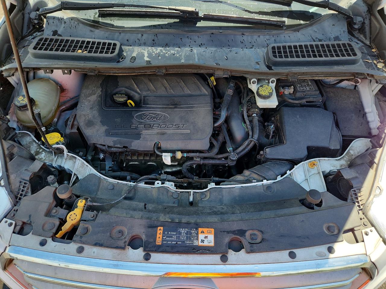 Ford Escape Se