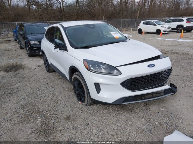 Salvage Ford Escape Image
