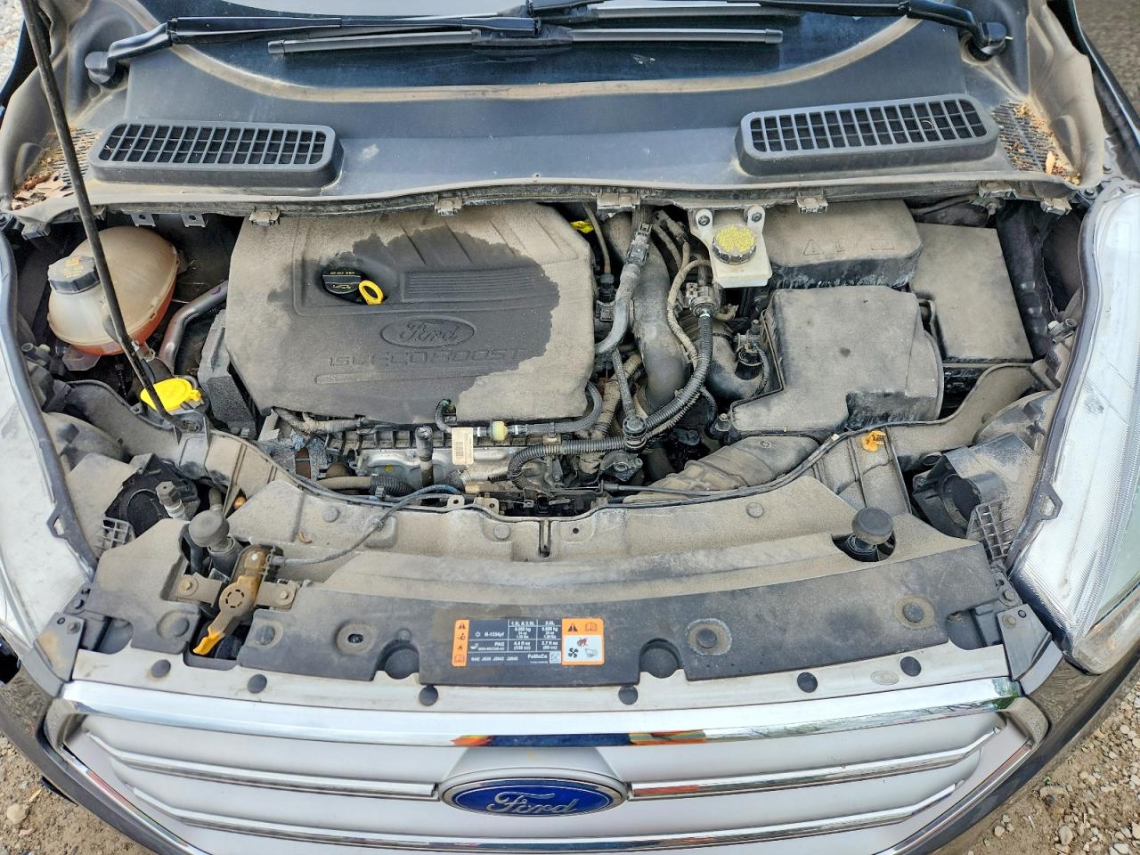 Ford Escape Se