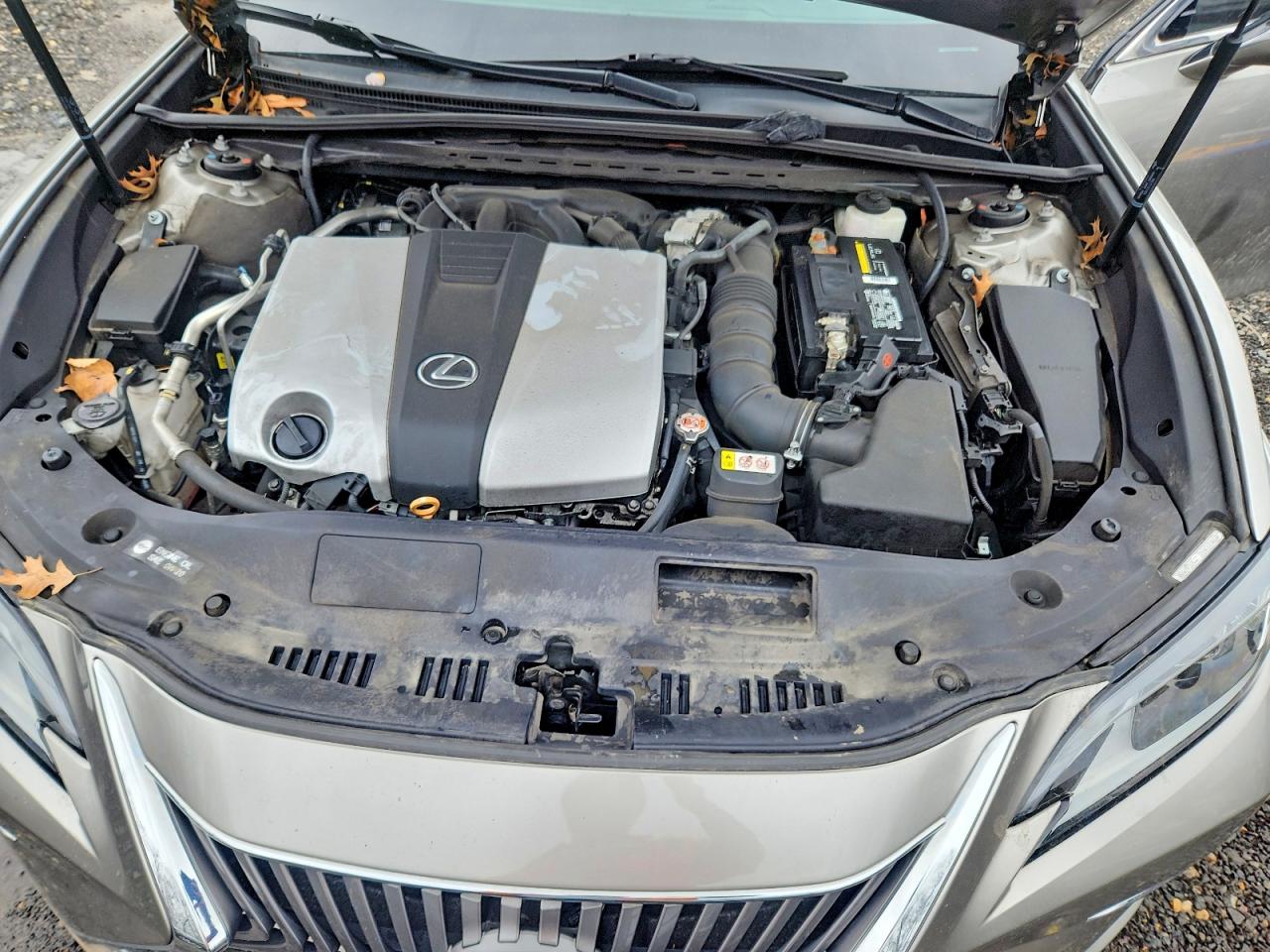 Lexus Es Luxury