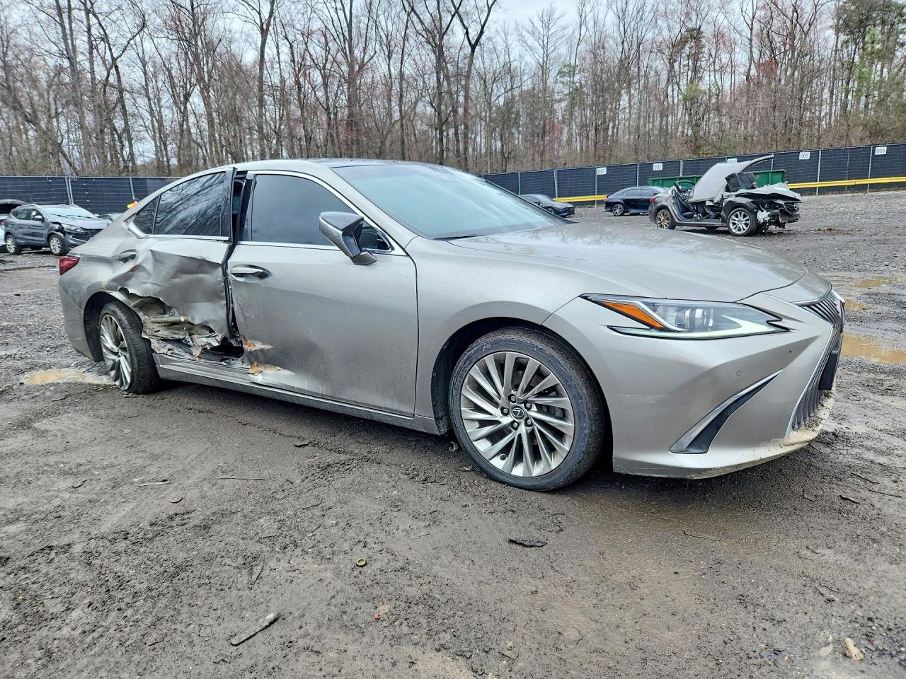 Lexus Es Luxury