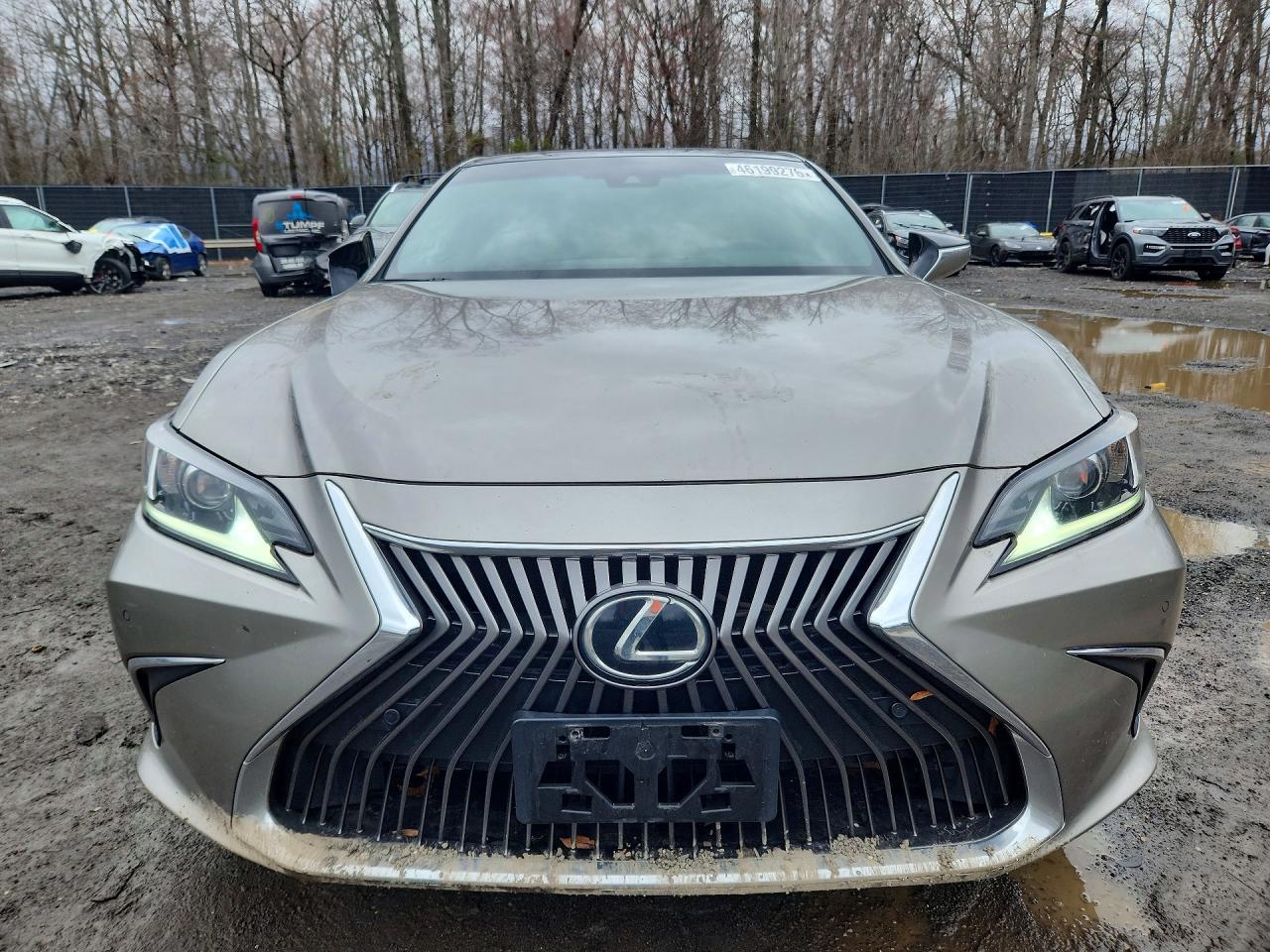 Lexus Es Luxury