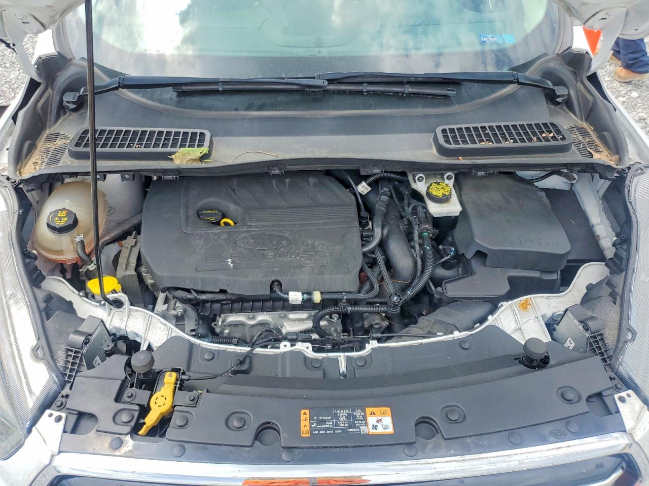 Ford Escape Se