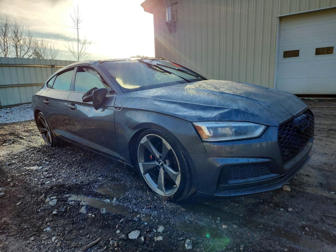Audi S5 Premium Plus