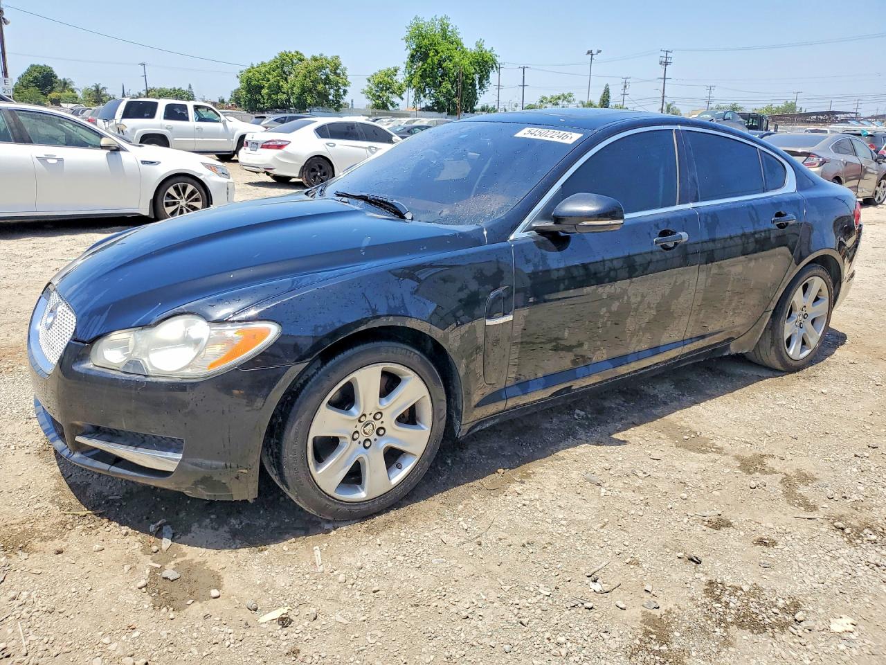 Salvage Jaguar XF Image