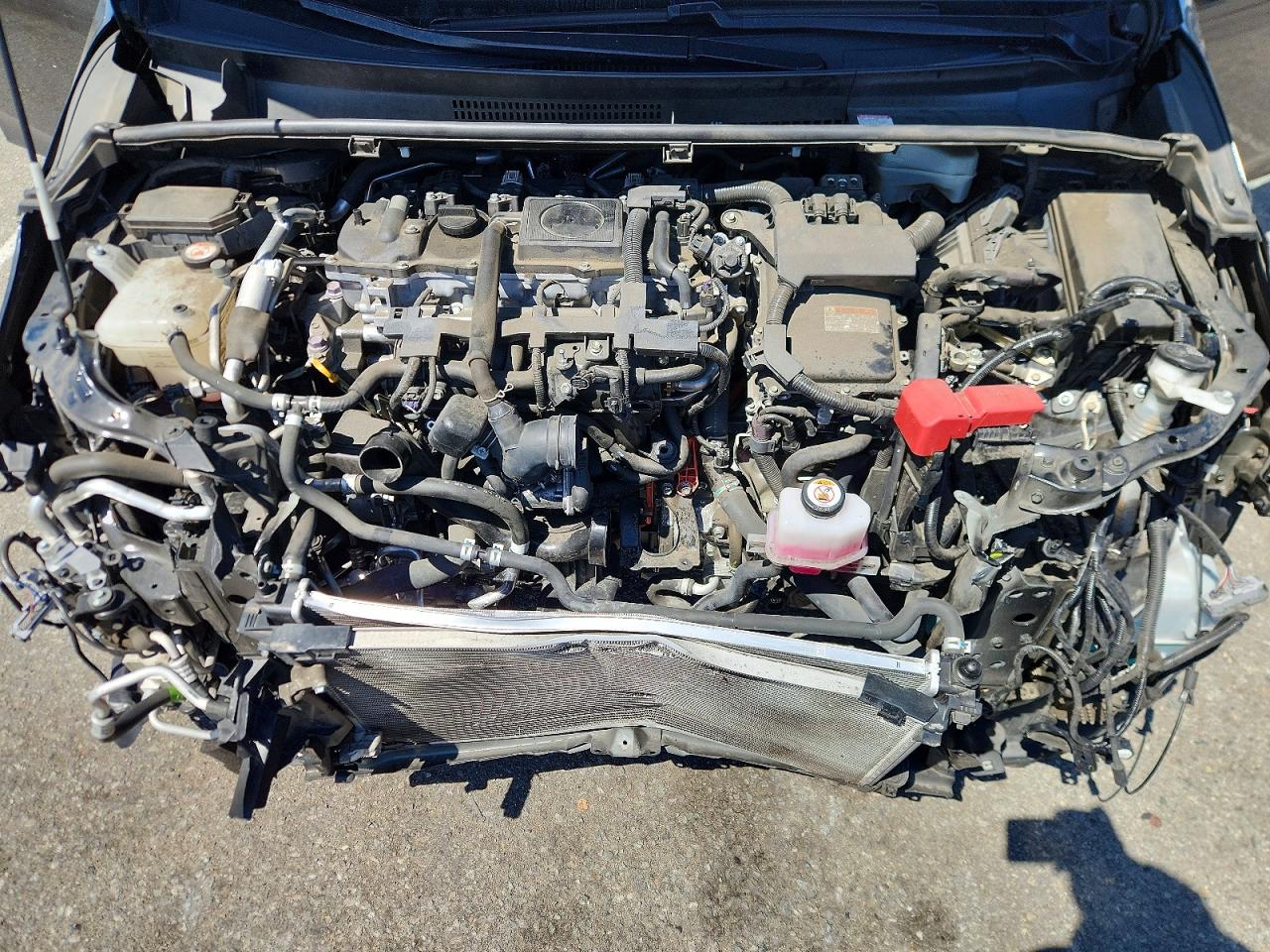 Toyota Prius Xle