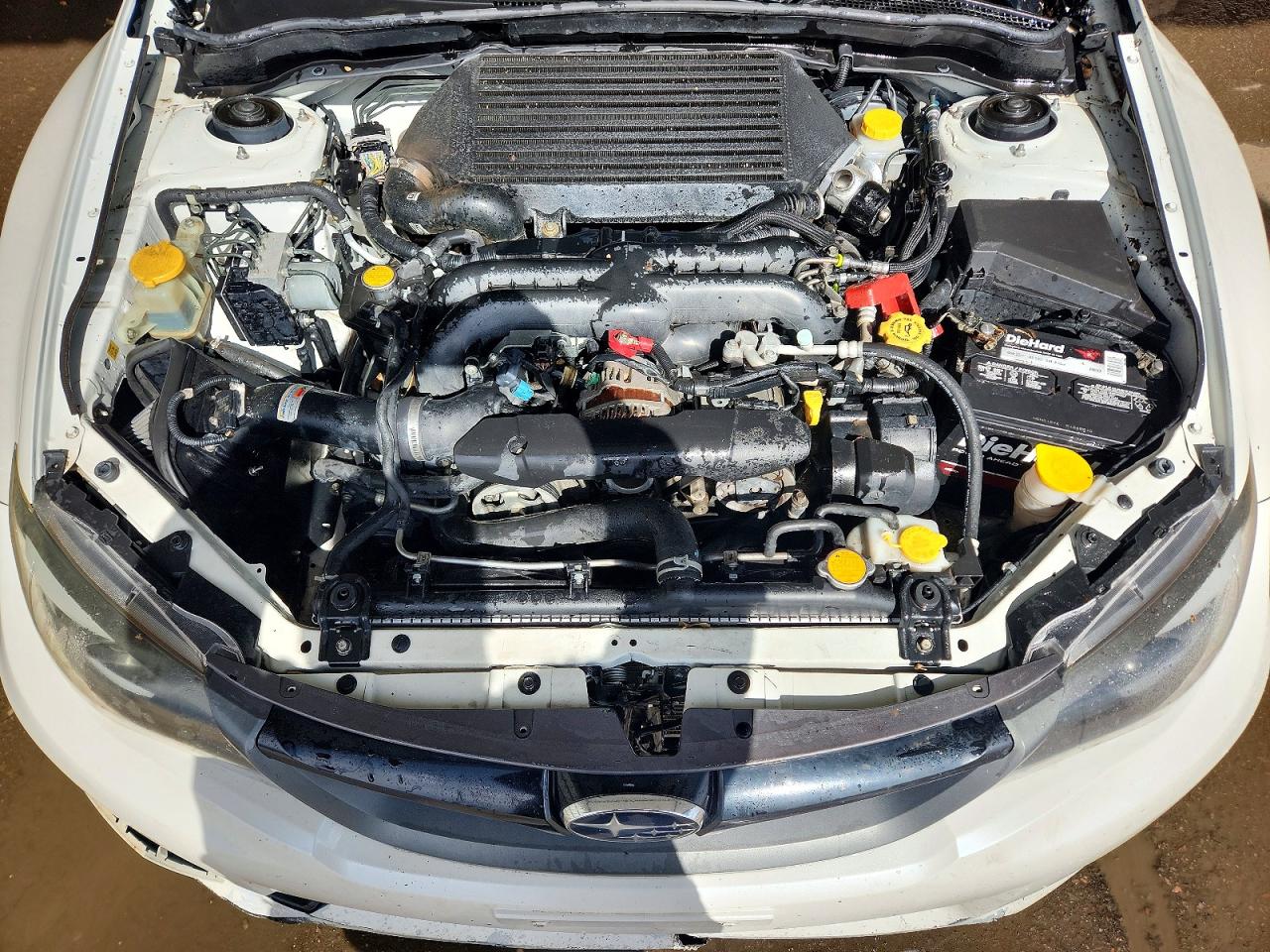 Subaru WRX Wrx